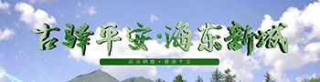 平安視頻
