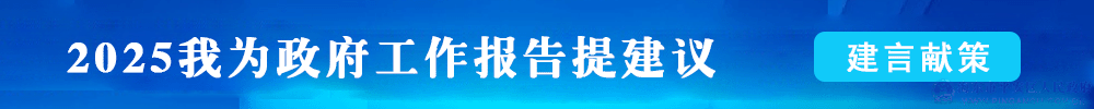 2025我為政府工作報(bào)告提建議